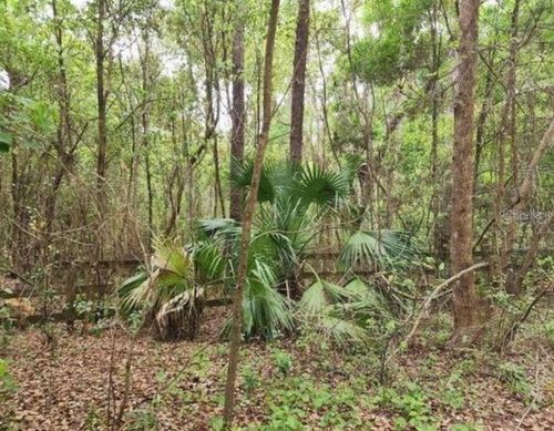 15363 Se 156th Place Rd, WEIRSDALE, FL, 32195-2218 | Card Image