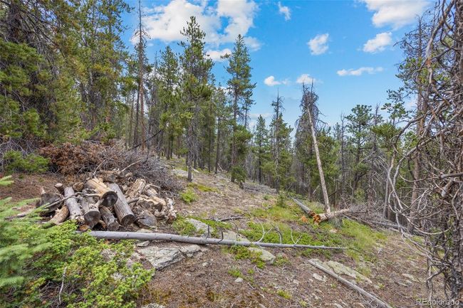 8570 S Warhawk Rd, Home with 0 bedrooms, 0 bathrooms and null parking in Conifer CO | Image 4