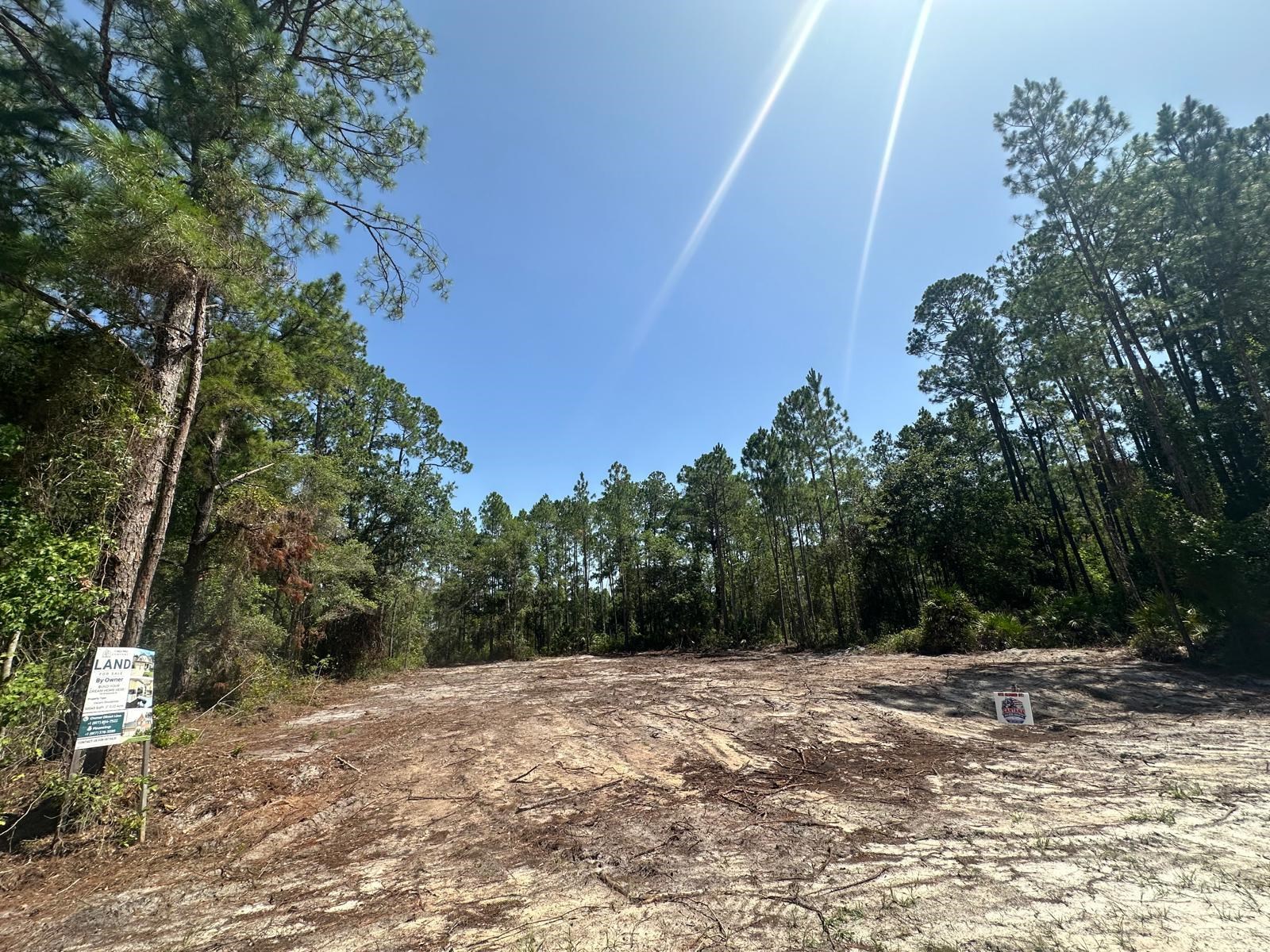 Land in Palatka