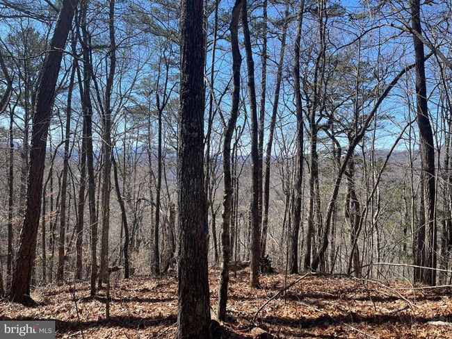 0 Bear Cove Rd, Home with 0 bedrooms, 0 bathrooms and null parking in Bryson City NC | Image 11