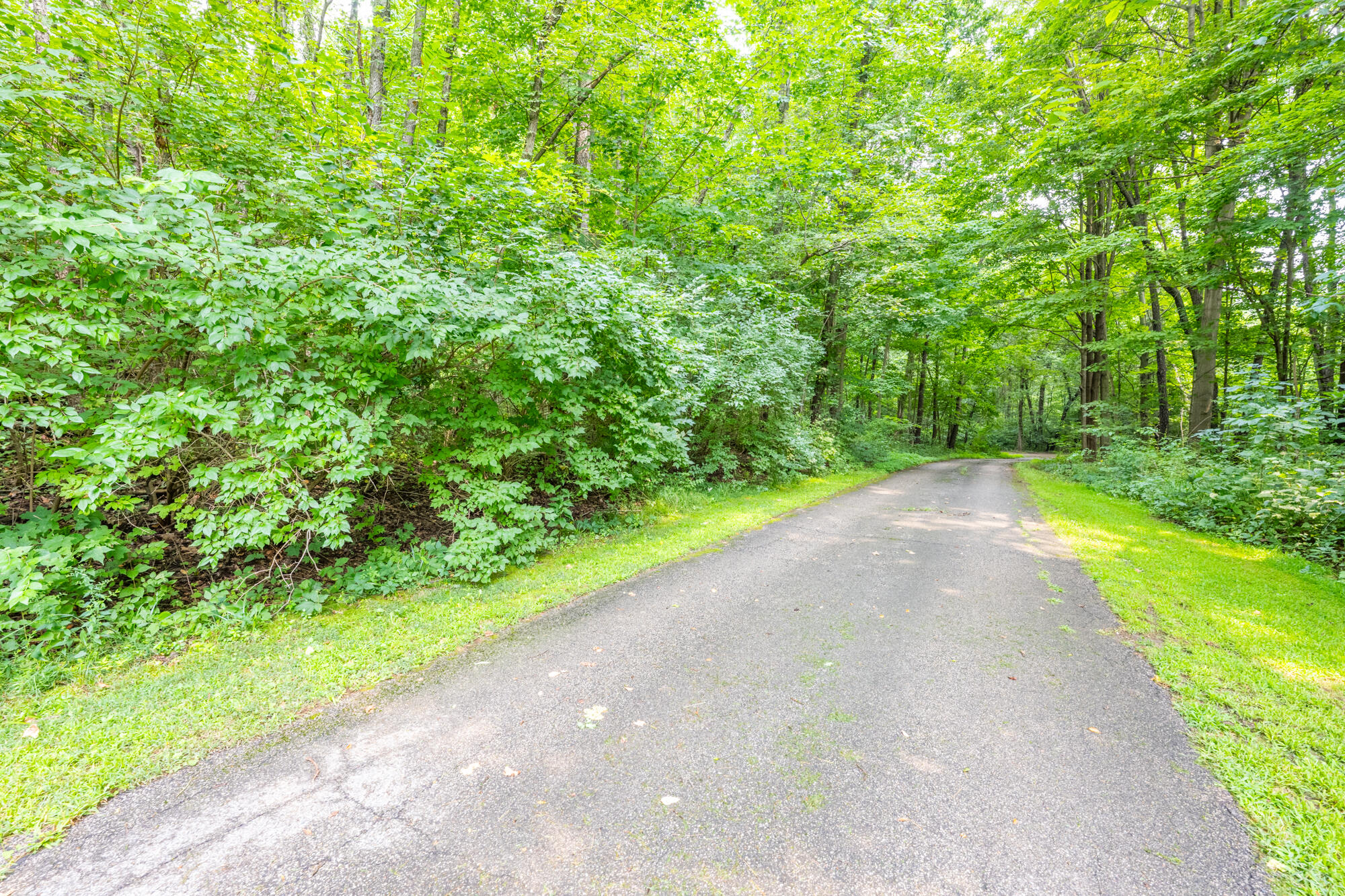 Residential in Berrien Springs 3
