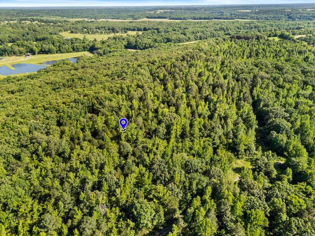 256 Rambo Loop, Home with 0 bedrooms, 0 bathrooms and null parking in Searcy AR | Image 4