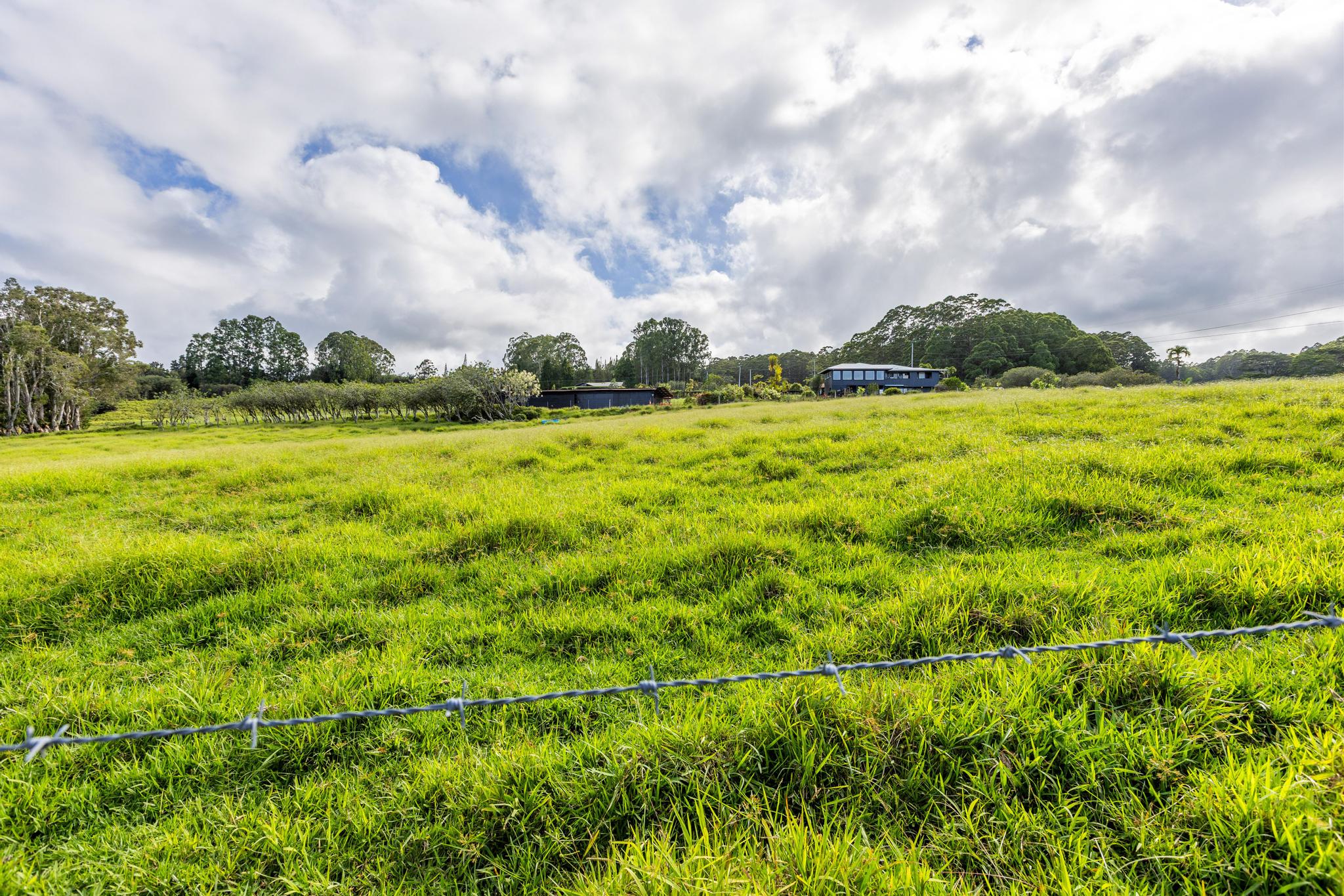 Land in Hakalau 4