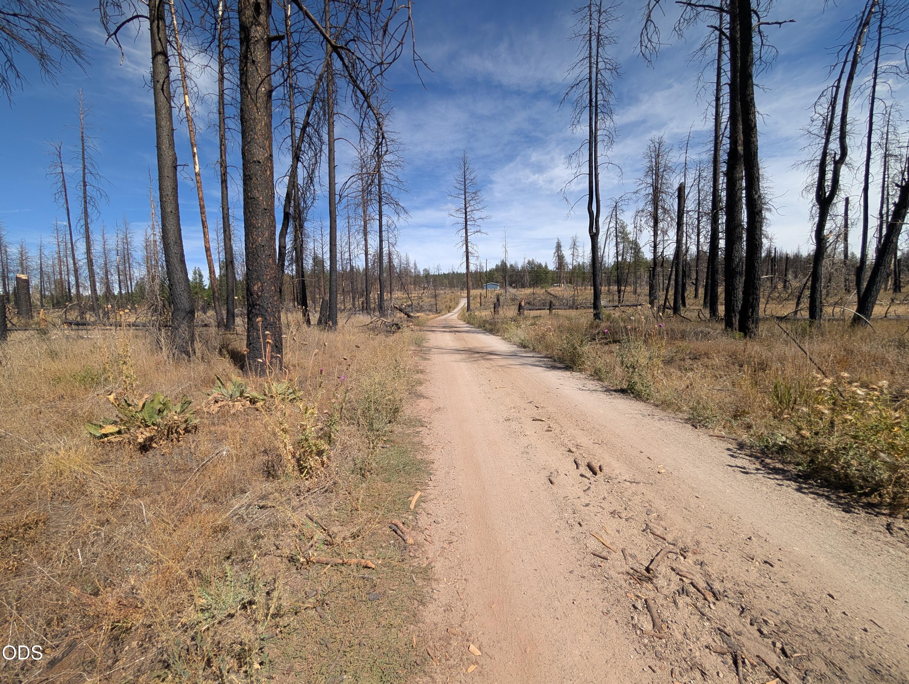 Land in Chiloquin 3