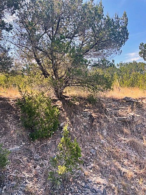 20013 Columbus Ln, Lago Vista, TX, 78645 | Card Image