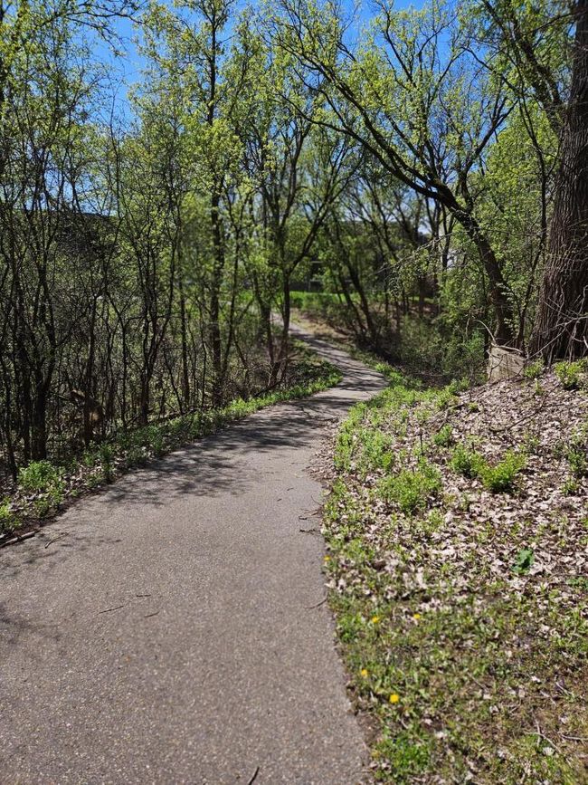 Trail through the woods | Image 26