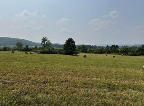 0 Beaver Dams Moreland Rd, Montour Falls, NY, 14865 | Card Image