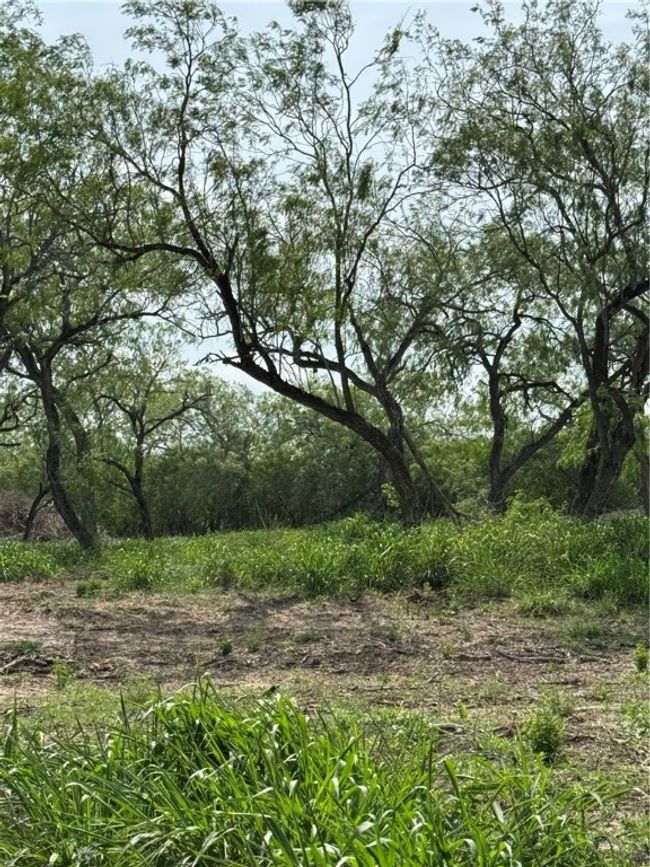 5525 Ravine Rd, Home with 0 bedrooms, 0 bathrooms and null parking in Robstown TX | Image 8