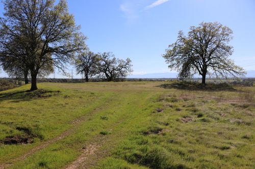 LOT 80 Pimlico Ct, Cottonwood, CA, 96022 | Card Image