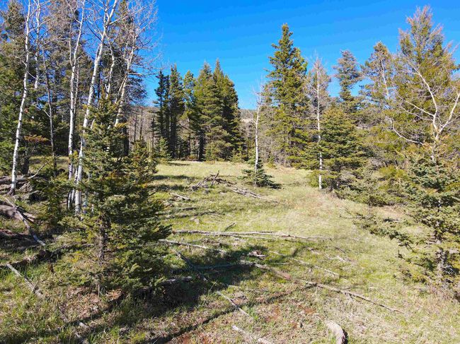2 Acres Off Quail Ridge, Home with 0 bedrooms, 0 bathrooms and null parking in Angel Fire NM | Image 11
