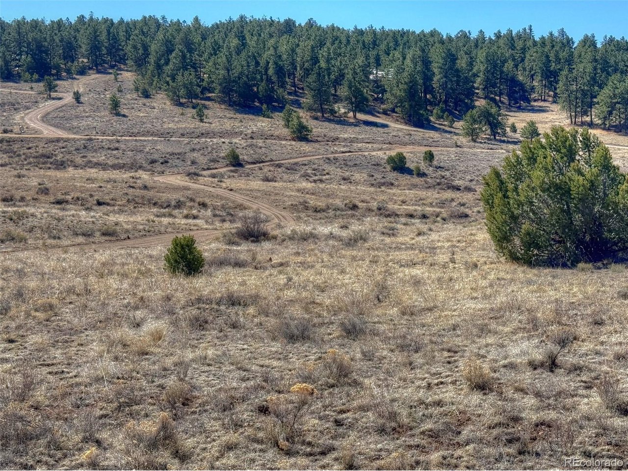 Land in Westcliffe 4