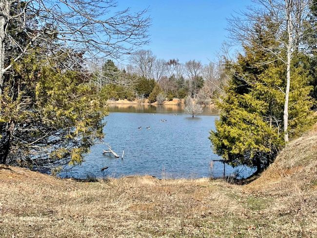 000 Brewer Rd, Home with 0 bedrooms, 0 bathrooms and null parking in Conway AR | Image 37