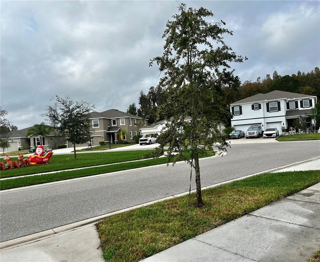 32657 Pez Landing Lane, House other with 3 bedrooms, 2 bathrooms and null parking in Wesley Chapel FL | Image 4