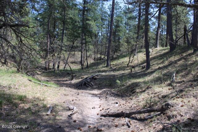 Land in Hulett 4