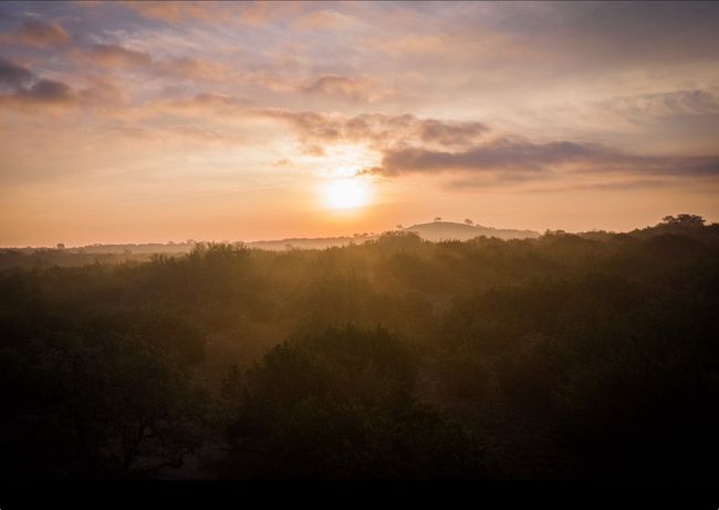 Nature at dusk with a view of trees | Image 8