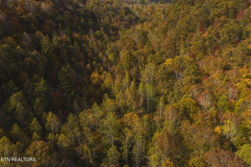 0 Livesay Chapel Rd, Kyles Ford, TN, 37765 | Card Image