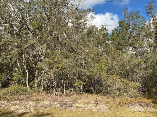 lot 8 Fisher Trce, Ocklawaha, FL, 32179-5930 | Card Image