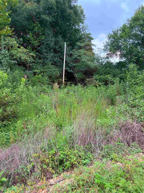 40 Edmonds Hollow Rd, Waterloo, AL, 35677 | Card Image