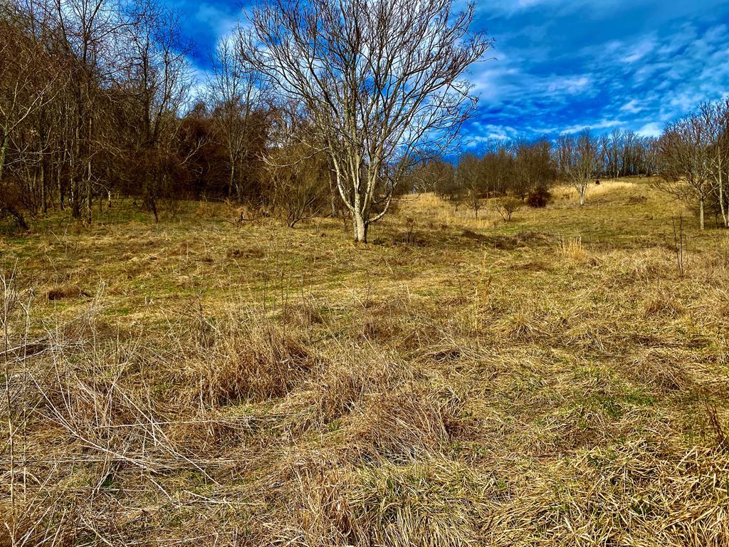 Land in Marion 3