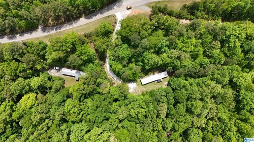 96 Richwood Dr, PELL CITY, AL, 35128-4704 | Card Image