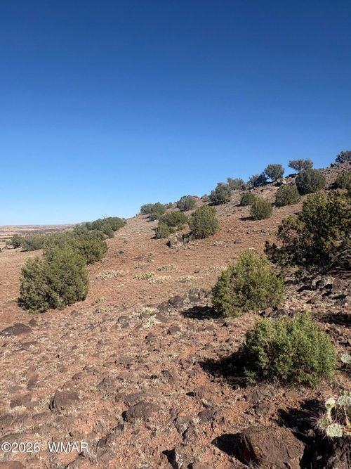 478 N8521, Concho, AZ, 85924 | Card Image