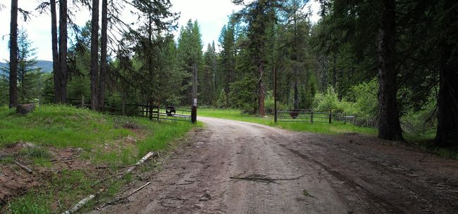 1876 Timber Creek Rd, House other with 8 bedrooms, 6 bathrooms and null parking in Haugan MT | Image 74