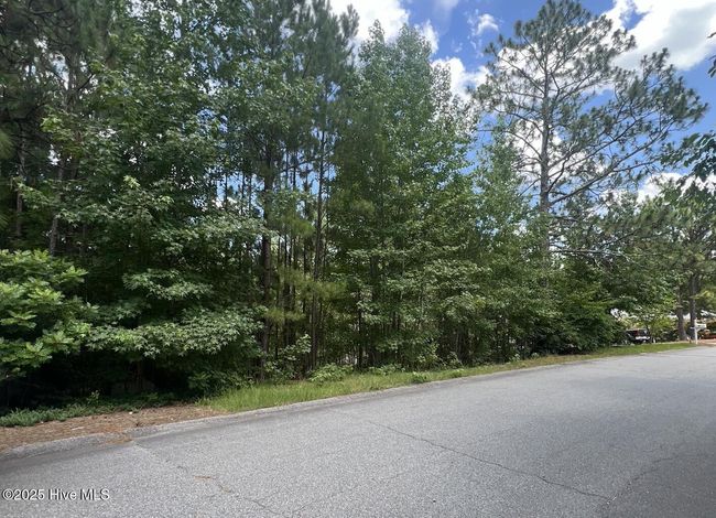 16 Overpeck Ln, House other with 5 bedrooms, 4 bathrooms and 2 parking in Pinehurst NC | Image 10