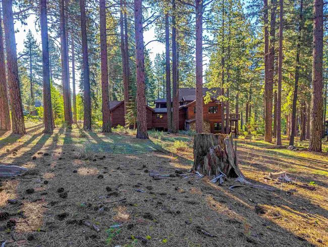 11561 Bottcher Loop, Home with 0 bedrooms, 0 bathrooms and null parking in Truckee CA | Image 18
