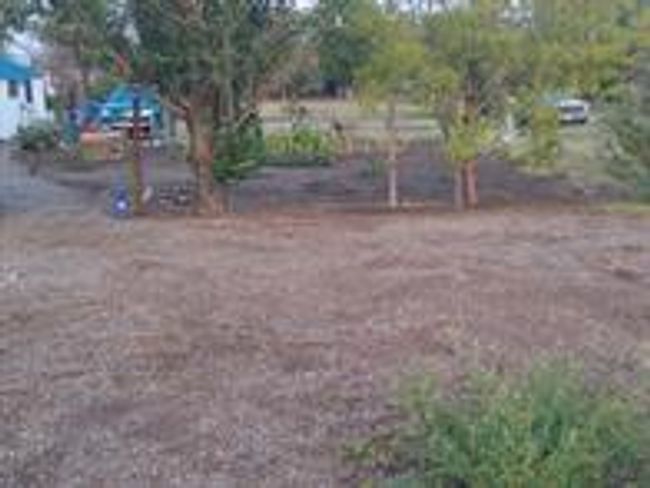 View of yard | Image 10