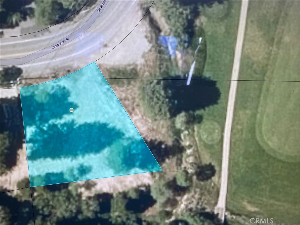 Land in Lake Arrowhead 2