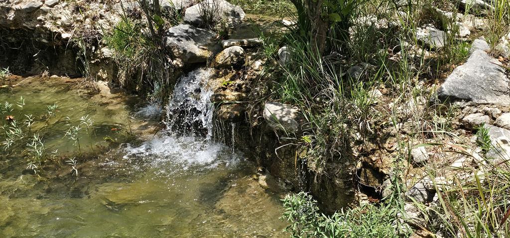 Land in Kerrville 2