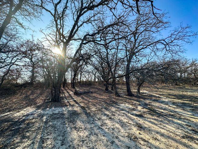 2351 County Road 321, Home with 0 bedrooms, 0 bathrooms and null parking in Gorman TX | Image 22