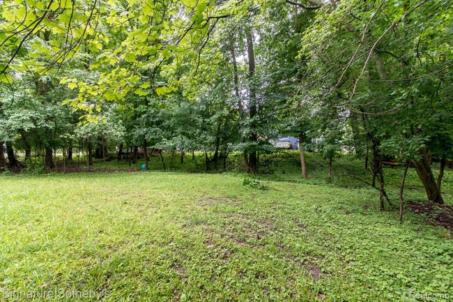 Rear View | Image 46