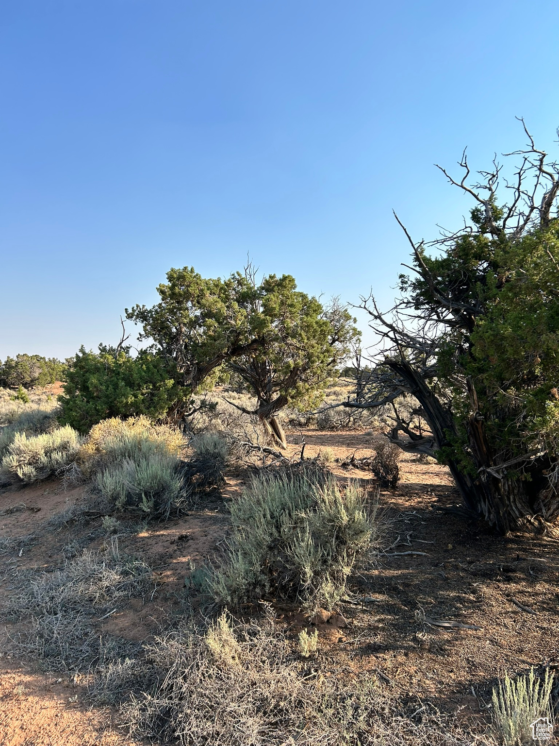 Land in Duchesne 5