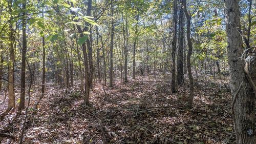 000 Cheetowaga Cir, Cherokee Village, AR, 72529 | Card Image