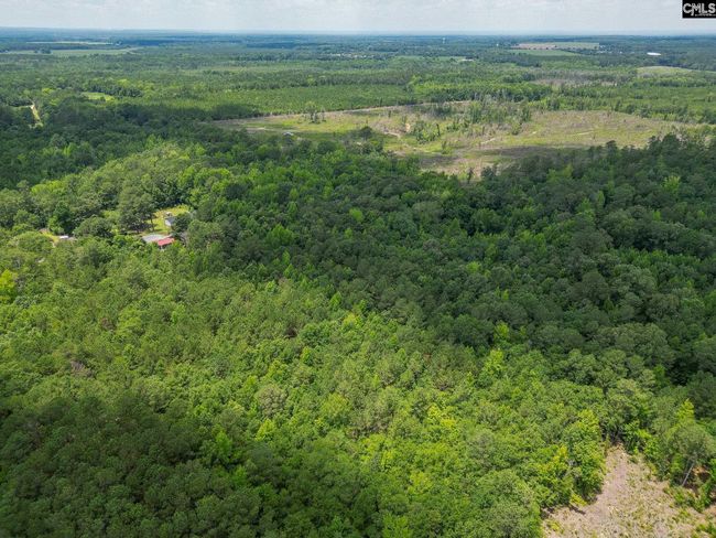 0 Mcdaniel Rd, Home with 0 bedrooms, 0 bathrooms and null parking in Rembert SC | Image 12