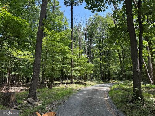 TBD Appalachian Trail Rd, Round Hill, VA, 20141 | Card Image