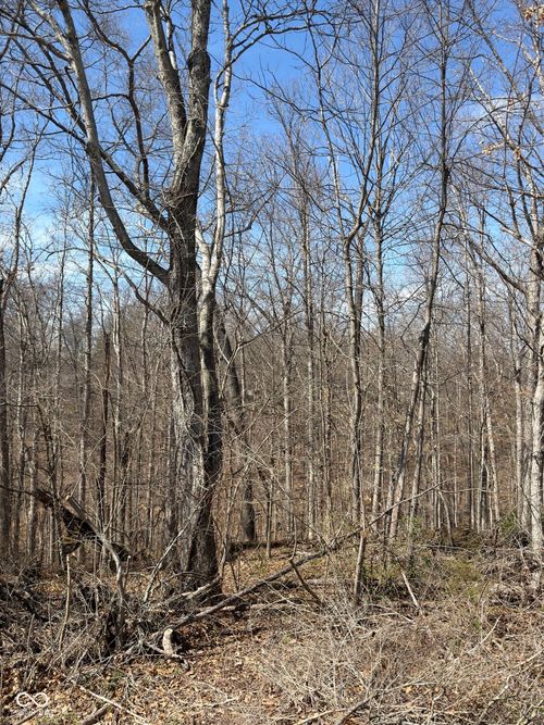 0 Treetop Ln, Nashville, IN, 47448 | Card Image