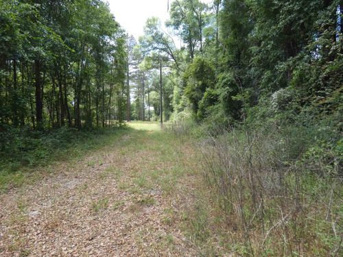 TBD W Washington, Monticello, FL, 32344 | Card Image