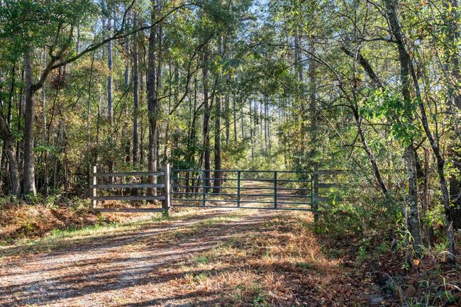 HFL_OSBORNE TRACT-1 | Image 8