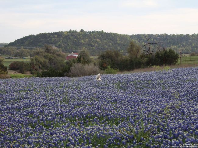 11890 Ranch Road 965, House other with 6 bedrooms, 4 bathrooms and null parking in Fredericksburg TX | Image 9