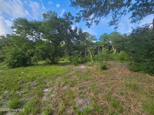 162 Holden Rd, Holly Ridge, NC, 28445-8655 | Card Image