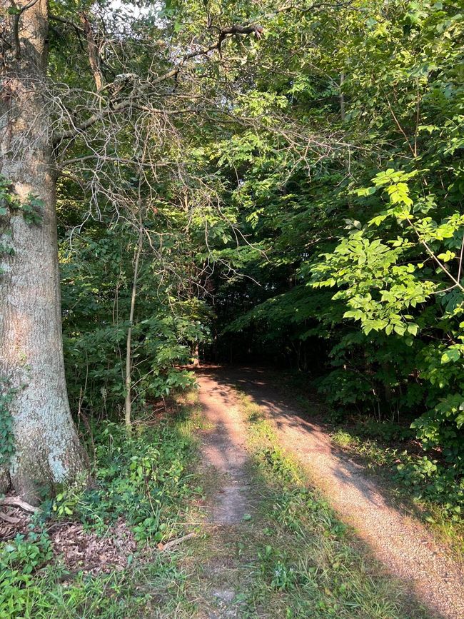 0 Norton Road, Home with 0 bedrooms, 0 bathrooms and null parking in Radnor OH | Image 13