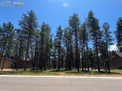 1287 Firestone Dr, Woodland Park, CO, 80863 | Card Image