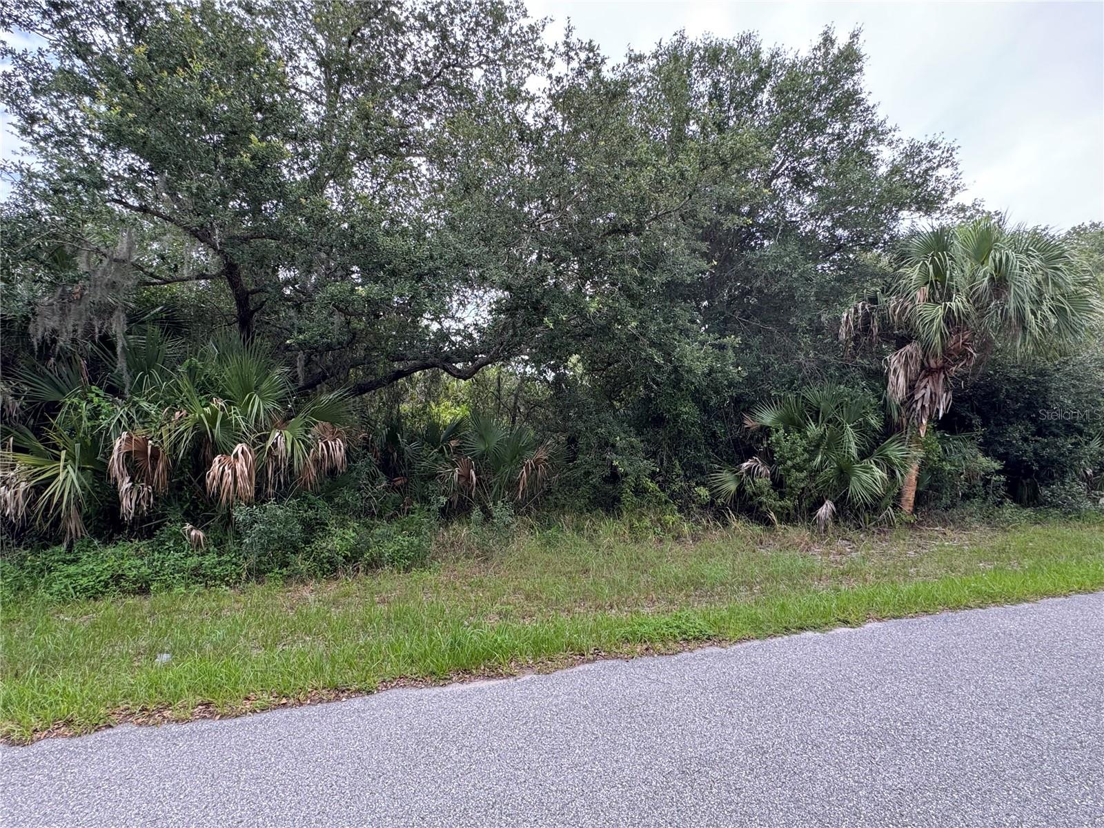 Land in PORT CHARLOTTE 5