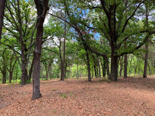 3200 Shadow Pine Dr, Home with 0 bedrooms, 0 bathrooms and null parking in LaRue TX | Image 5