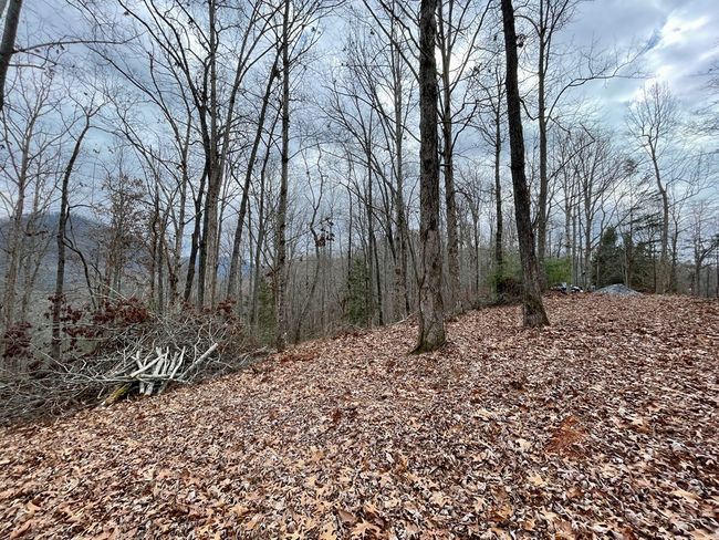 #114 Eagles Vw, Home with 0 bedrooms, 0 bathrooms and null parking in Hayesville NC | Image 9