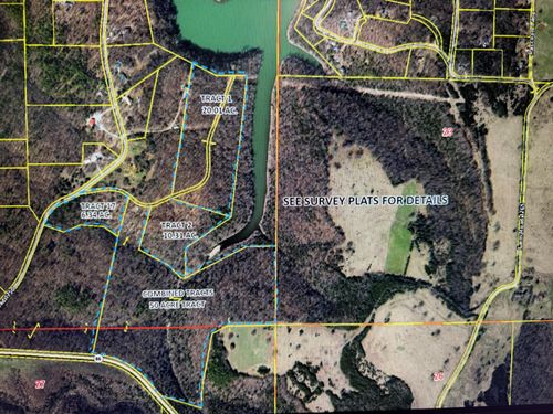 Tract 2 Farm Road 1250, Golden, MO, 65658 | Card Image