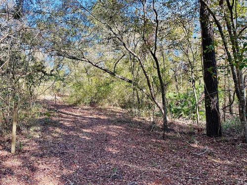 0 Ne 229 Ln, Old Town, FL, 32680 | Card Image