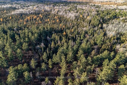 00 Wilb Con 10 Pt Lots 6, 7 Rp49r4865 Part 1 N/A, North Algona Wilberforce, ON, K0J1T0 | Card Image